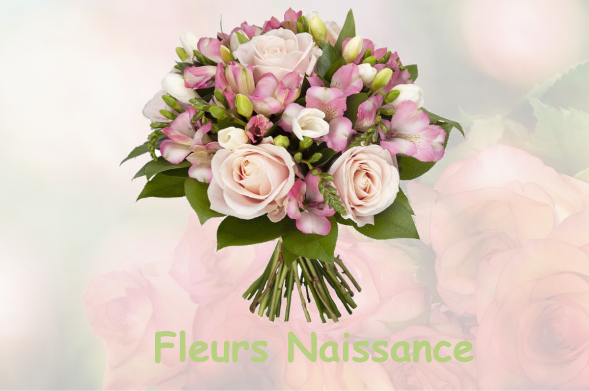 fleurs naissance AUSSEING