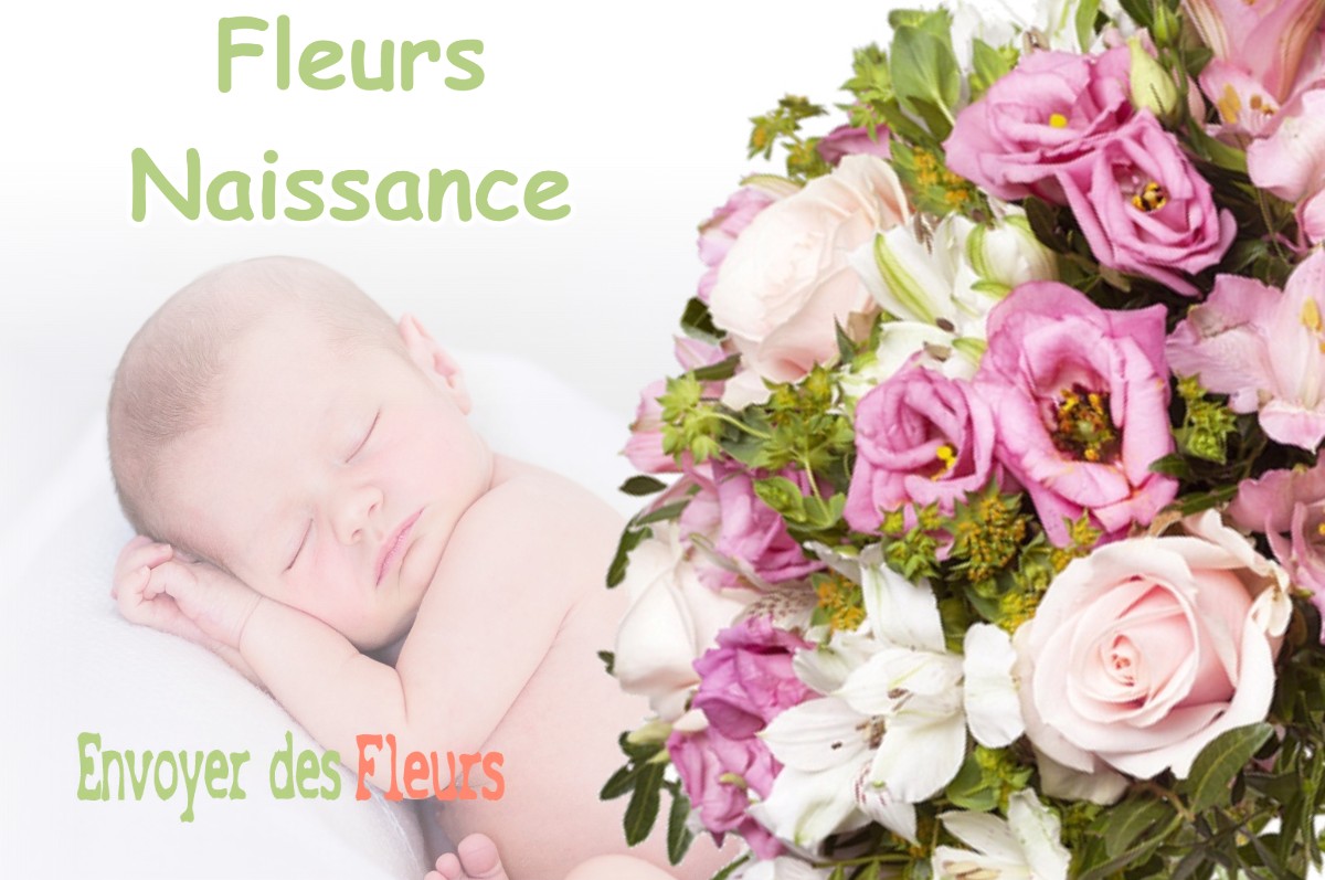 lIVRAISON FLEURS NAISSANCE à AUSSEING